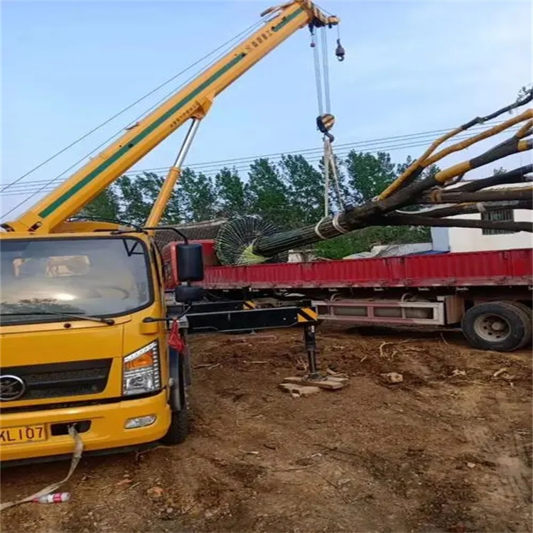 张沟镇100吨吊车租赁费用怎么算？3大关键因素+省钱技巧全解析